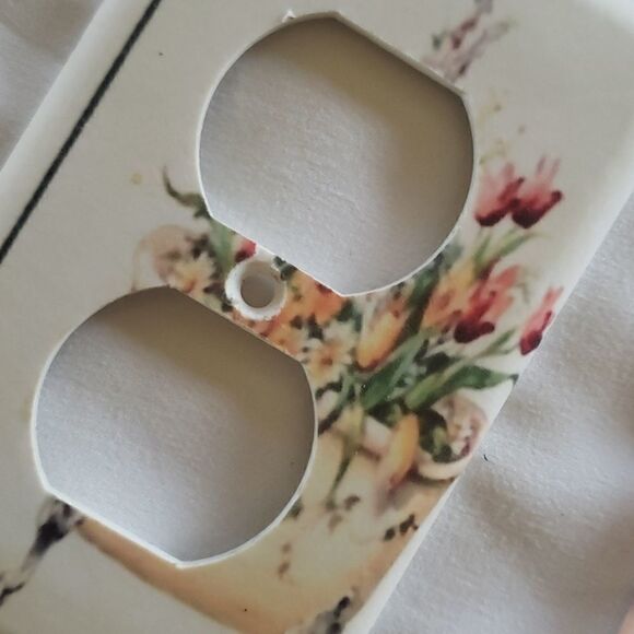 4@30.00 or 20.00 Home Decor/𝅺Decorative Outlet/Switch Plates - Picture 7 of 14